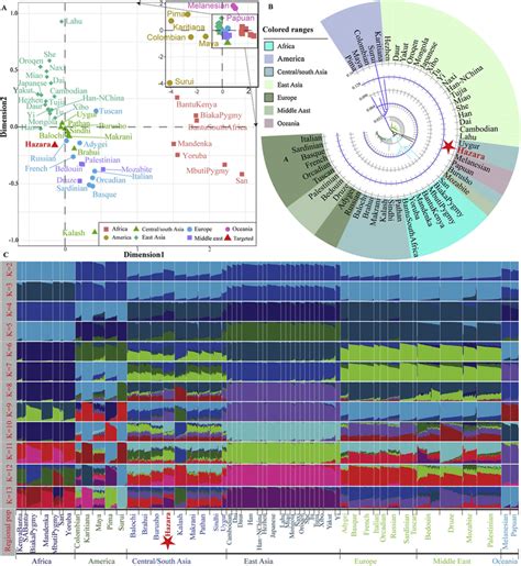 hazara dna|Genetic heterogeneity and homogeneity between .